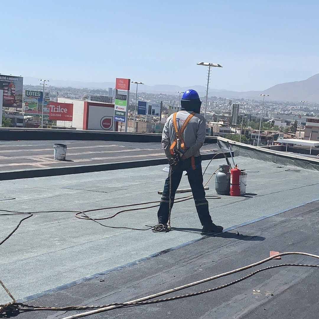 Servicios